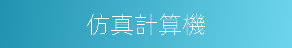 仿真計算機的同義詞