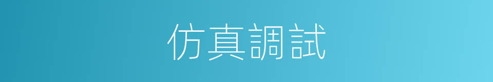仿真調試的同義詞