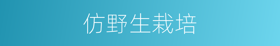 仿野生栽培的同义词