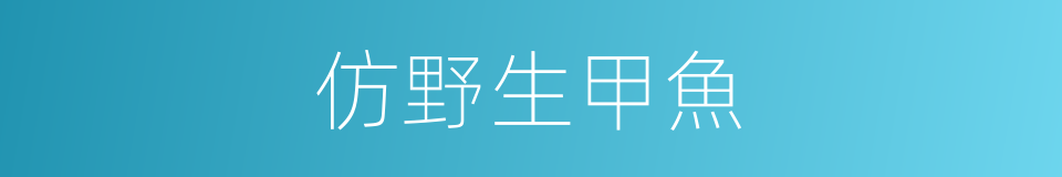 仿野生甲魚的同義詞