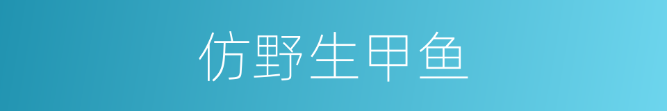 仿野生甲鱼的同义词