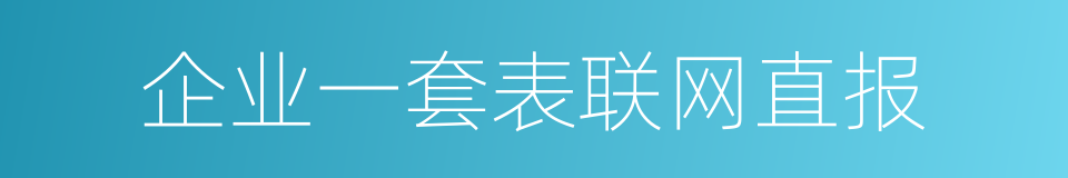 企业一套表联网直报的同义词