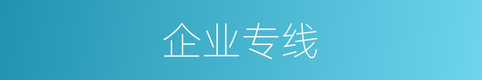 企业专线的同义词