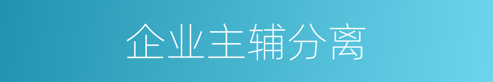企业主辅分离的同义词