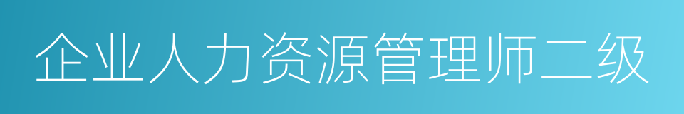 企业人力资源管理师二级的同义词