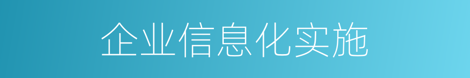 企业信息化实施的同义词