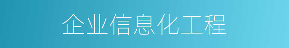 企业信息化工程的同义词