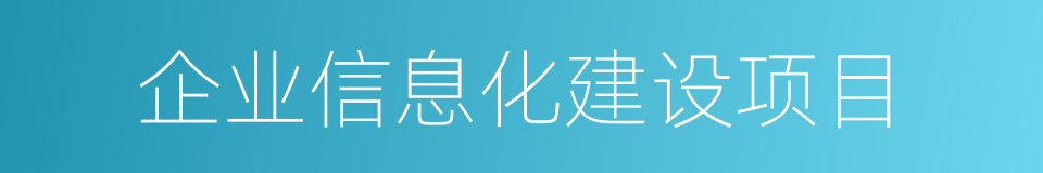 企业信息化建设项目的同义词