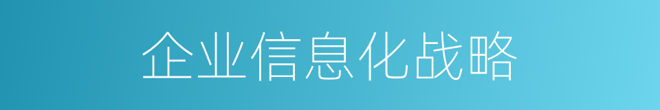 企业信息化战略的同义词