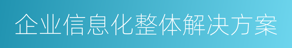 企业信息化整体解决方案的意思