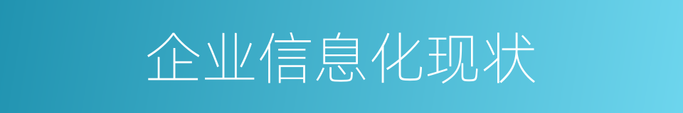 企业信息化现状的同义词