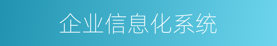 企业信息化系统的同义词