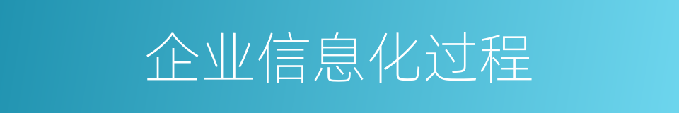 企业信息化过程的同义词