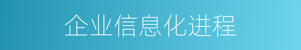 企业信息化进程的同义词