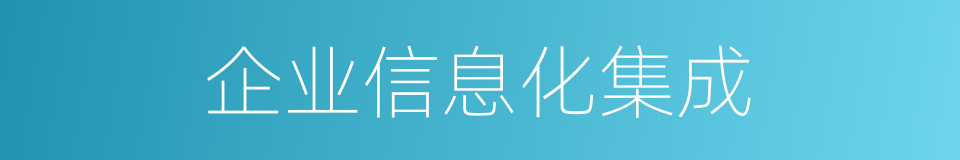 企业信息化集成的同义词