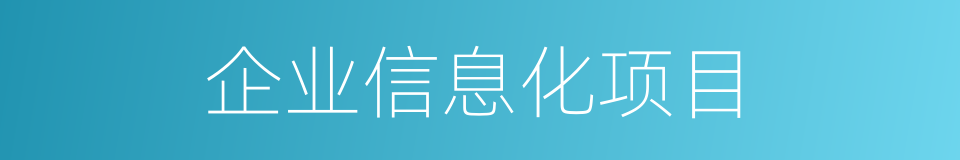 企业信息化项目的同义词