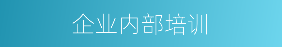 企业内部培训的同义词