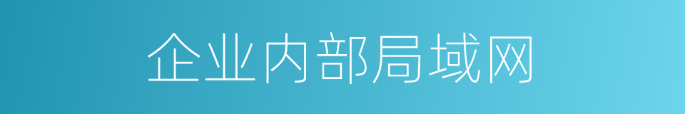 企业内部局域网的同义词