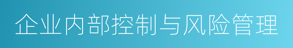 企业内部控制与风险管理的同义词