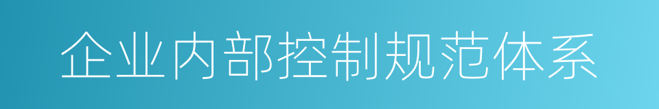 企业内部控制规范体系的同义词
