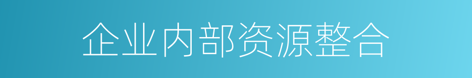 企业内部资源整合的同义词