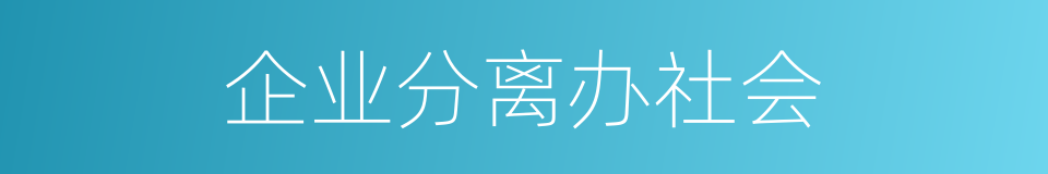 企业分离办社会的同义词