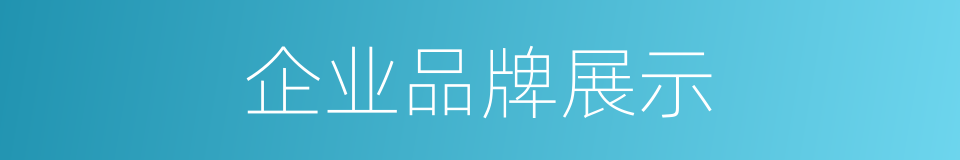 企业品牌展示的同义词