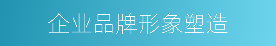 企业品牌形象塑造的同义词