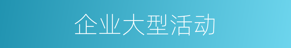 企业大型活动的同义词
