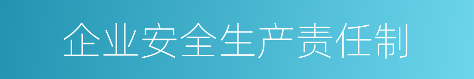 企业安全生产责任制的同义词