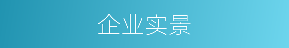 企业实景的同义词