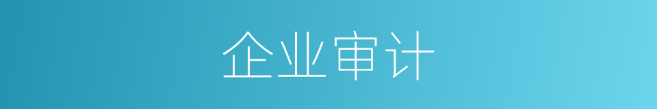 企业审计的同义词