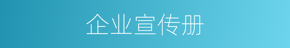 企业宣传册的同义词