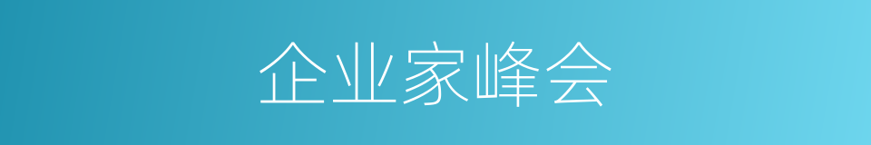企业家峰会的同义词