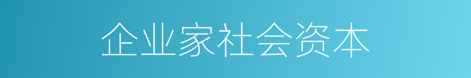 企业家社会资本的同义词