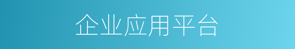 企业应用平台的同义词