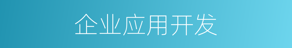 企业应用开发的同义词