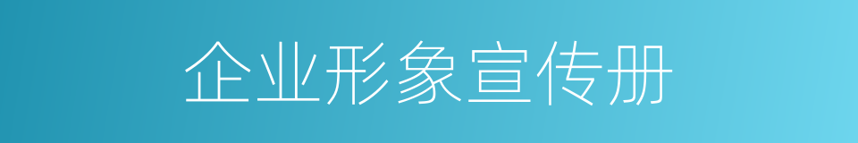 企业形象宣传册的同义词