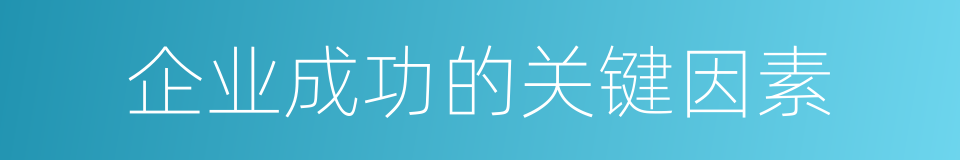 企业成功的关键因素的同义词