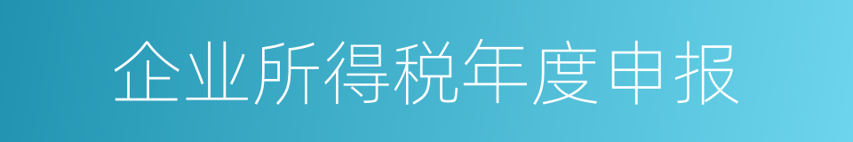 企业所得税年度申报的同义词