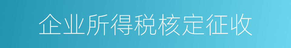 企业所得税核定征收的同义词