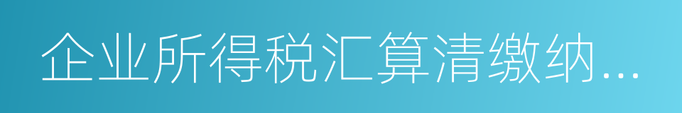 企业所得税汇算清缴纳税申报鉴证的同义词