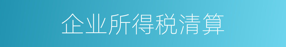 企业所得税清算的同义词