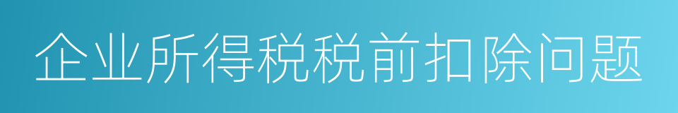 企业所得税税前扣除问题的同义词