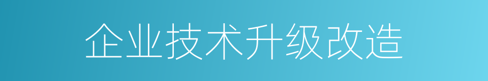 企业技术升级改造的同义词