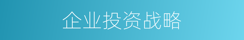 企业投资战略的同义词