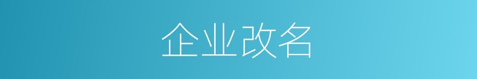 企业改名的同义词