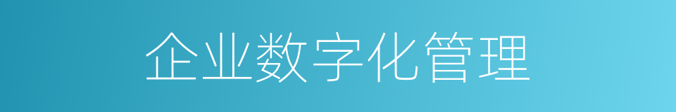 企业数字化管理的同义词