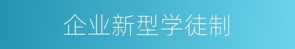 企业新型学徒制的同义词