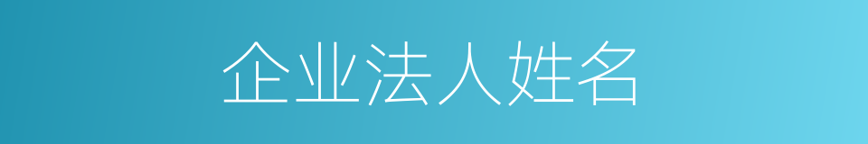 企业法人姓名的同义词
